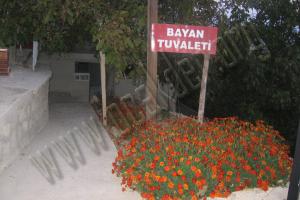 TUVALETLER (BAYAN)